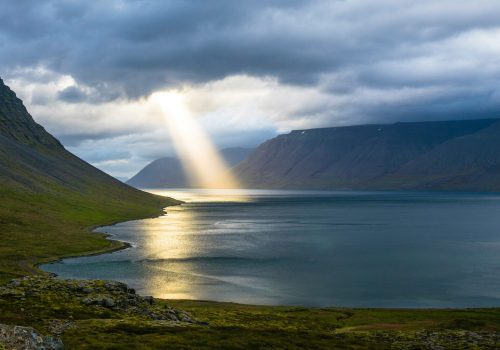 davide-cantelli-H3giJcTw__w-unsplash-scaled.jpg